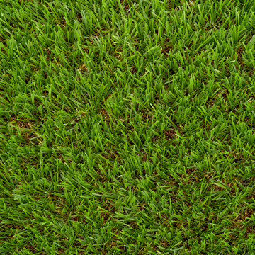 Diamond Monofilament Soccer Artificial Grass carpet