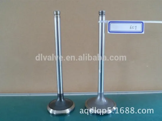 Cummins 6CT engine valve OEM 3802355 3902356