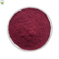 High-quality Organic Cranberry Powder