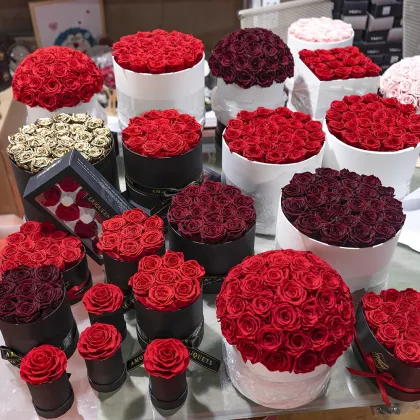Wholesale Dried Forever Rose in Box