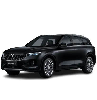 Voyah Free Electric SUV: Fashion Design and Affordable Energy Cars Made in China 2023