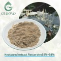 Extracto de Knotweed Fuente natural Resveratrol Nutricional