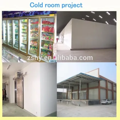 Commercial cooler & freezer cold room