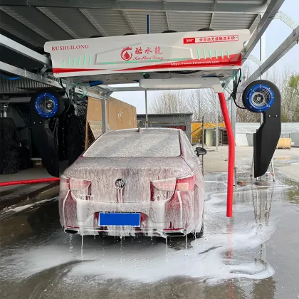 automatic car washing machine car care program
