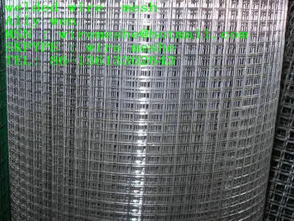 Top Sale!! Welded wire mesh