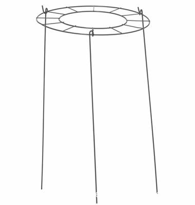 ring-grow-through-support