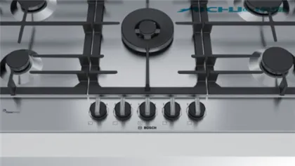 Bosch Lpg Stainless Steel Cast Iron GasStove