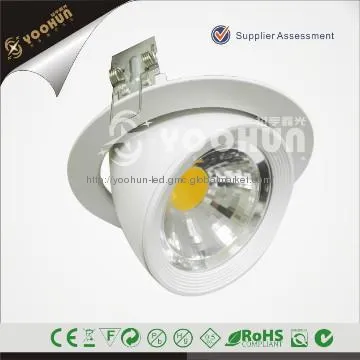 gimbal led down light 25W dimmable with CE&RoHS
