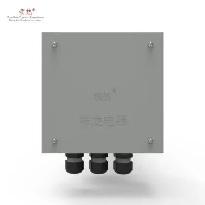 Custom 4-inch 30kW Fluid/Gas Immersion Heaters for Industrial Applications