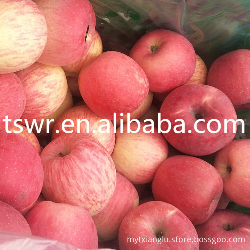 food grade fresh apple fruit qinguan apples red apples