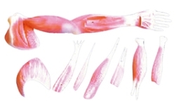 EX-MD02901-2