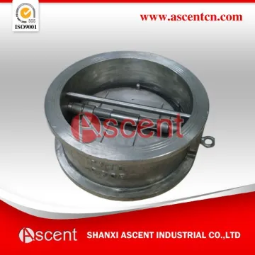 Stainless Steel Check Valves