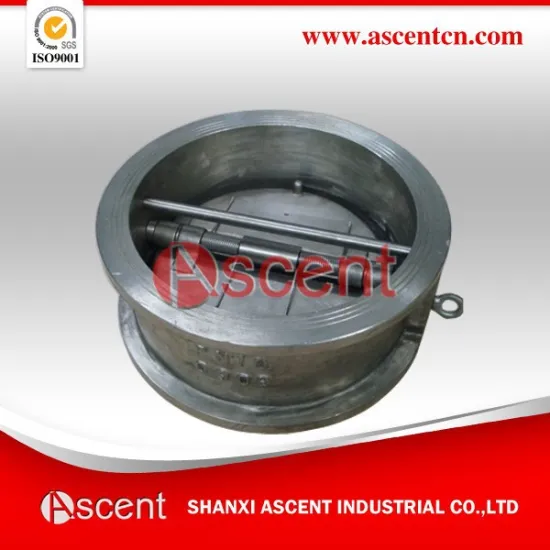 Stainless Steel Check Valves