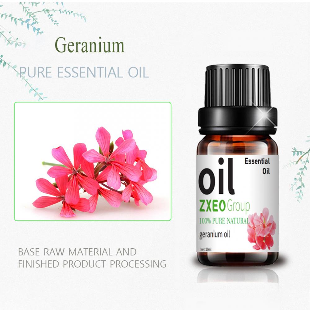 Pure Natural Natural Organic Geranium Oil Cosmetic Oil de grado cosmético