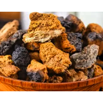 Chaga Extract Powder Chaga Mushroom Inonotus Obliquus Extract