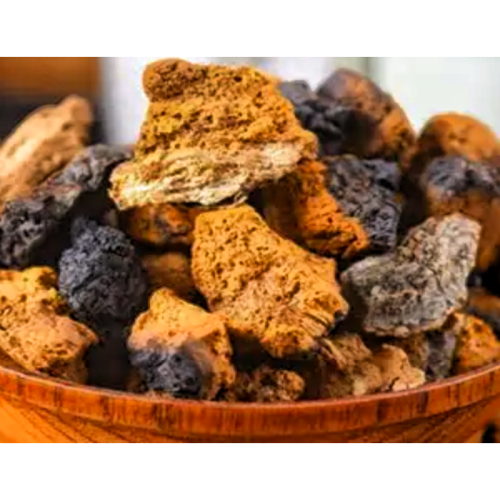 Chaga Extract Powder Chaga Mushroom Inonotus Obliquus Extract