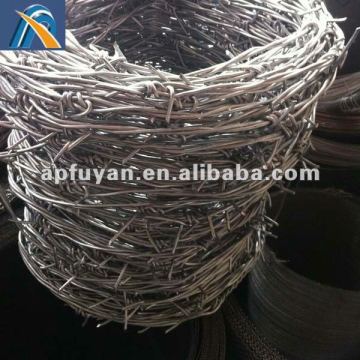FY14 Grass Boundry Galvanized Barbed Wire(factory)