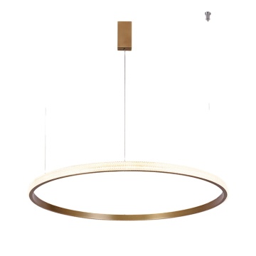 Złote LED Ring Ring Lampa do nowoczesnego salonu
