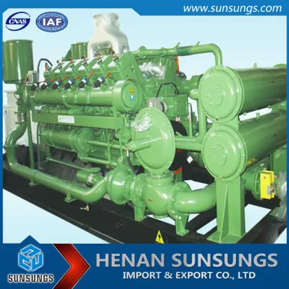 Biogas fermentation biogas storage and biogas power generator supplier