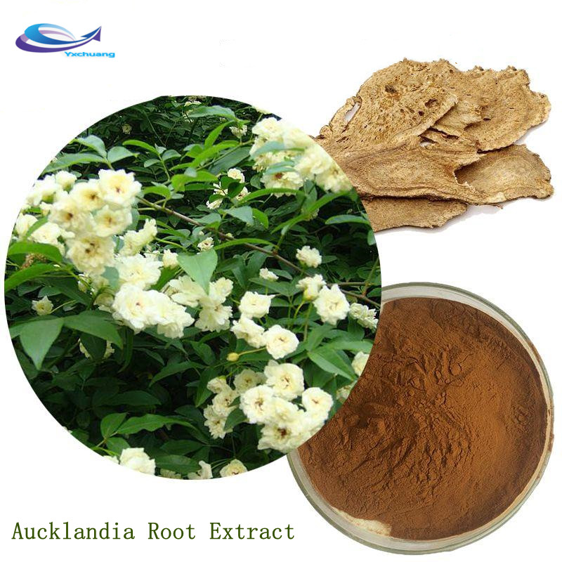 aucklandia root extract for sleep