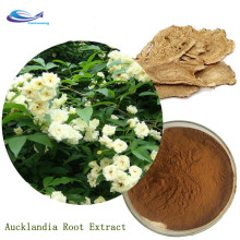 Common Aucklandia Root Extract Powder Vladimiria Root