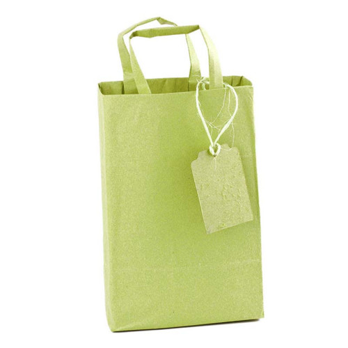 Customized Logo Gift Bag with Handle