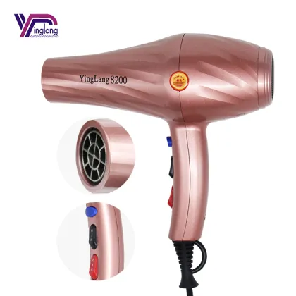 Professional Hair Dryer Set with Salon Brush, Hot and Cold Stand, and Tools