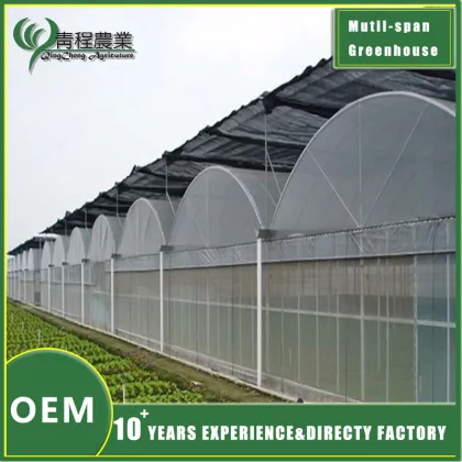 Multi span Greenhouse With Shade Systems