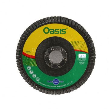 Flexible Flap Disc Grinding Wheel for Stainless Steel