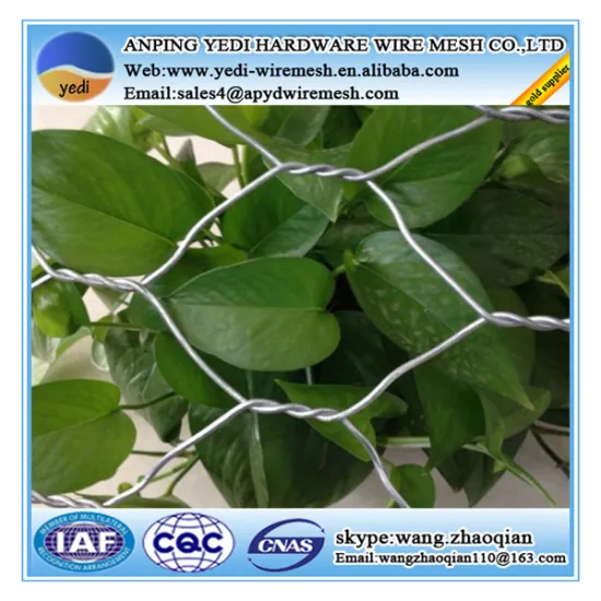 hexagonal wire fences for vegetables