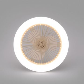Modern Indoor Ceiling Fan with Big Airflow, 3 Blades, and Built-in Lights for Children's Room
