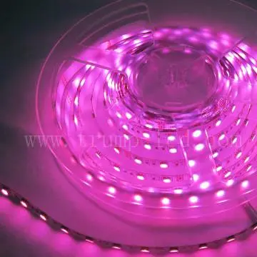 Power Supply Christmas IP22 5050 LED Flexible Strips Light