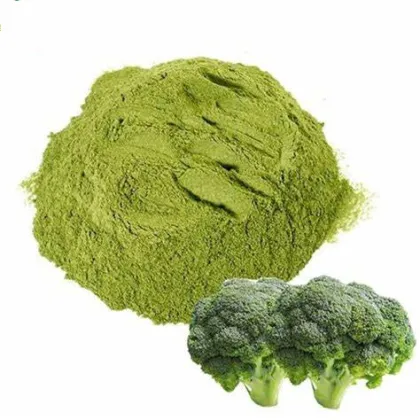 Best Broccoli Powder Supplement for Health