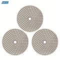 Stone Polishing Disc Dry Wet Diamond Polishing Pads