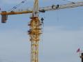 Tower Crane (QTZ63, 80) with Crane Top by Hsjj