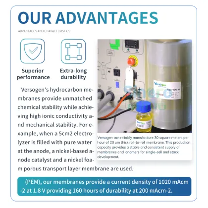 PiperION Hydrogen Fuel Cell Anion Exchange Membrane