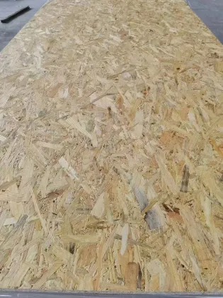 OSB board construction 18mm wholesale