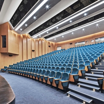 Custom Cinema Wall-to-Wall Carpets: 80% Wool 20% Nylon