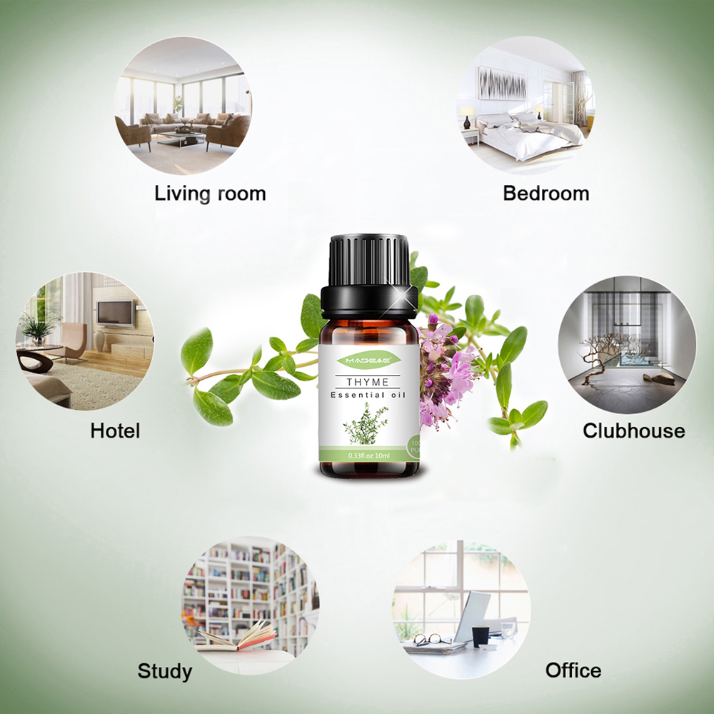 Bulk Wholesale factory Thyme essential Oil for body