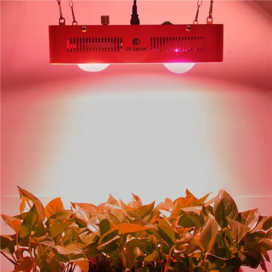300w 800w indoor lamp led grow light full spectrum with COB LEDs design