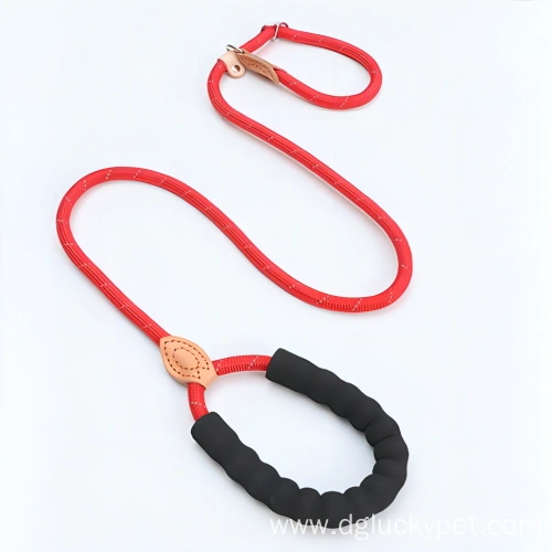 Pet Leash P-type Leash