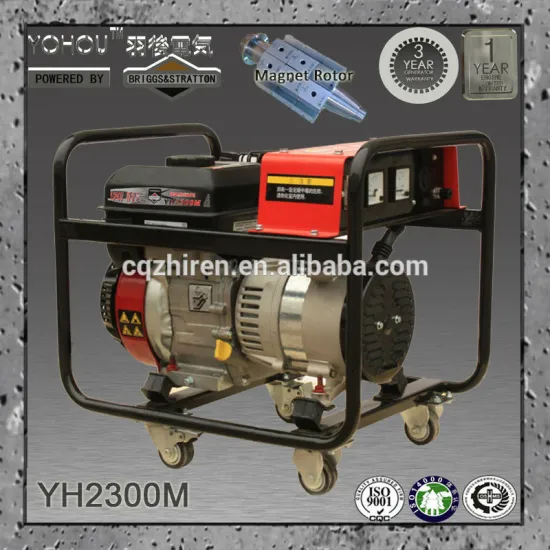 50Hz 127V 220V Dynamo Generator 1Kw For Oil Field
