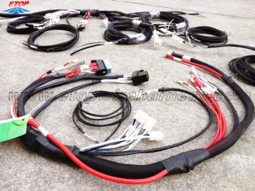 Custom caravan wire assemblies