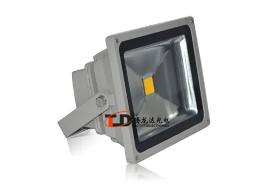 High Output 30w Outdoor Led Flood Lights 3000lm Blue For Gymnasium
