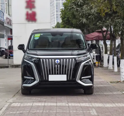 2024 Denza D-9: Unique Design Hot Sale Pure Adult Electric Cars