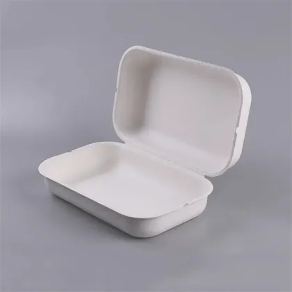 Pulp Molded Bagasse Paper Nuts Kernels Packaging Box