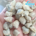 Carne di vongole congelata Premium Flash