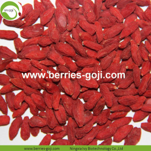 Wholesale Improve Eyesight Zhongning Goji Zhongning Goji