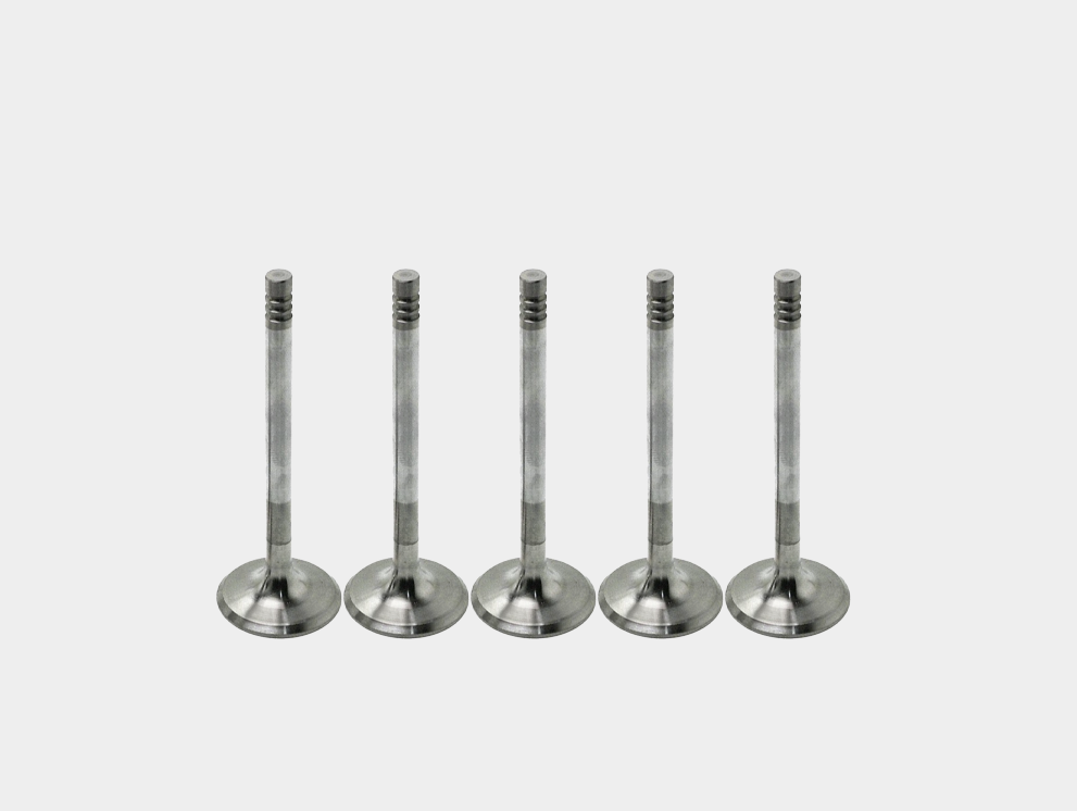 036109601AL Intake Valve for Engine