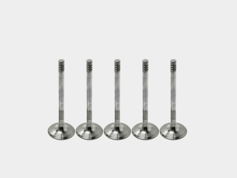 Direct Fit Intake Valve - Replaces OEM